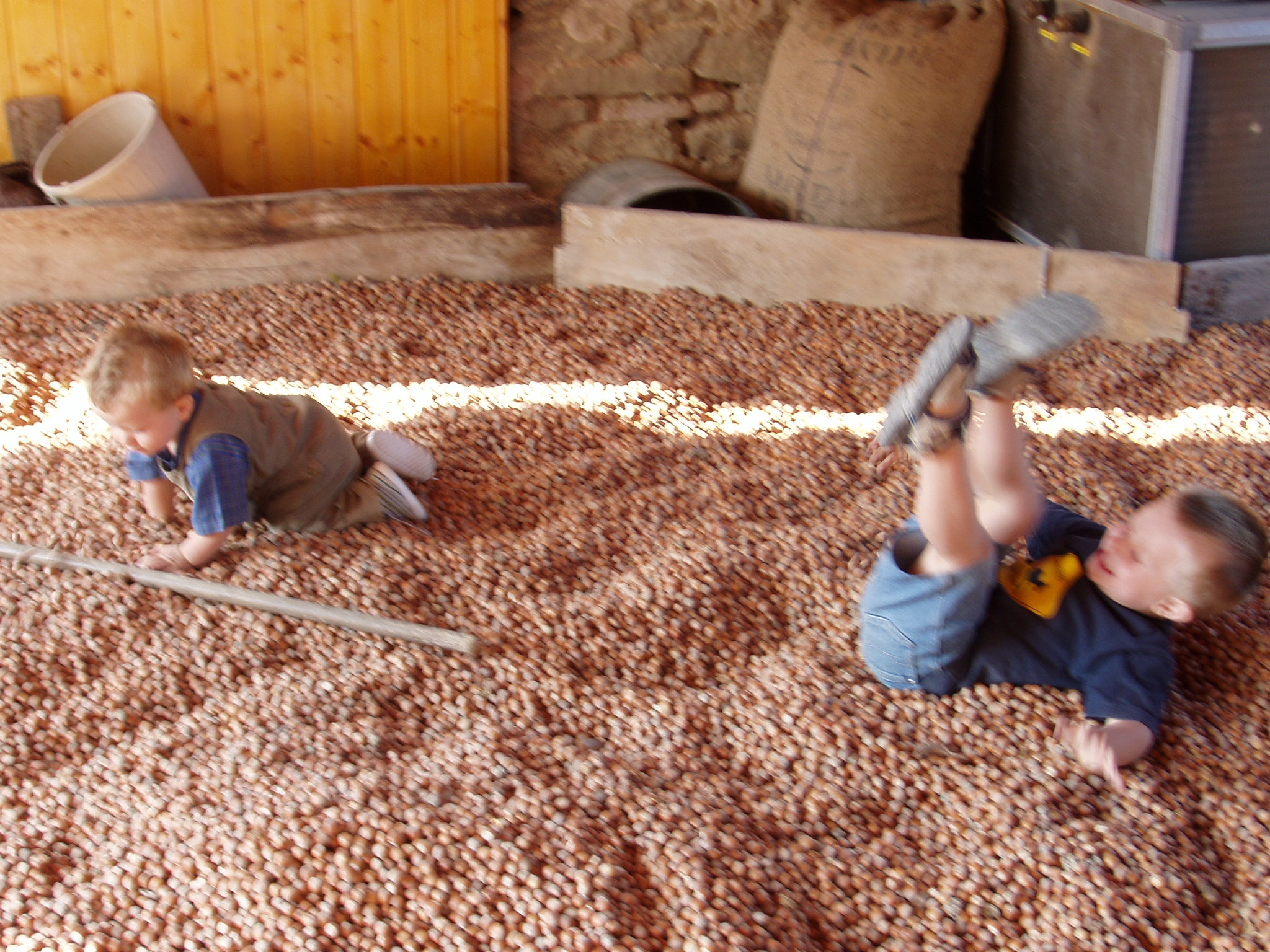 Bambini in Nocciole