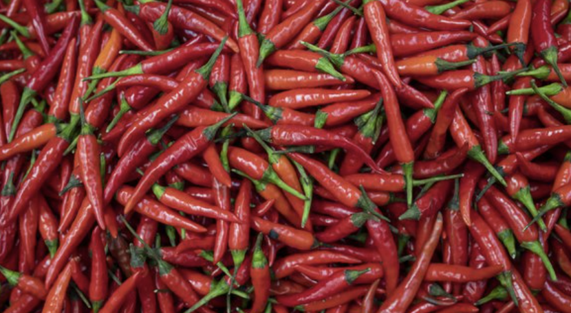 Für die frischen Chilis sind diese zu empfehlen, man findet die in allen Einkaufläden.